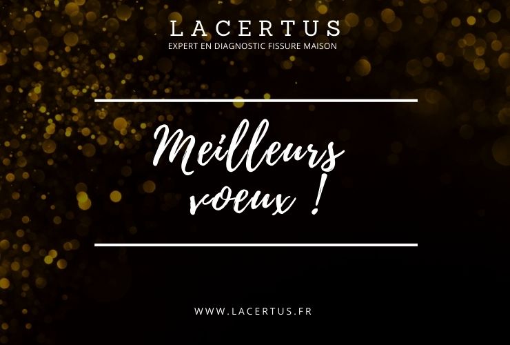 meilleurs voeux 2022 par lacertus